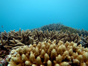 IMG_0298