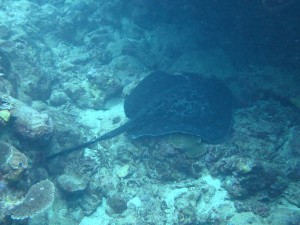 IMG_0306
