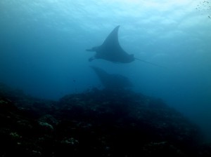 IMG_0344