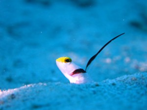 IMG_1067