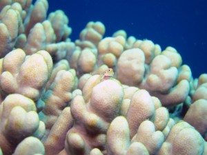 IMG_2069
