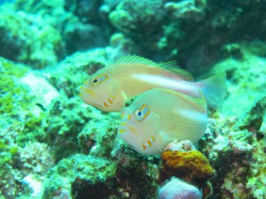 IMG_2071