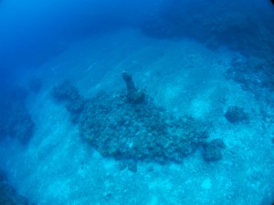 IMG_2141