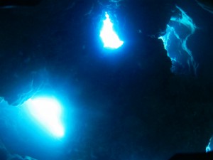 IMG_2144