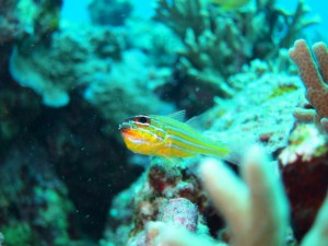 IMG_2338_R