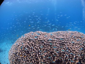 IMG_2344_R