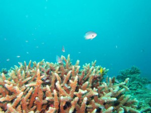 IMG_2362_R