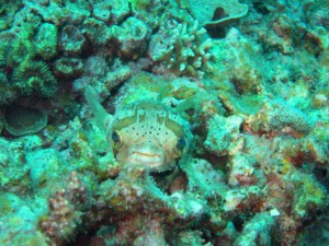 IMG_2363_R