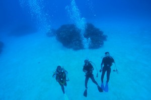 IMG_2431