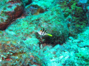 IMG_2587_R