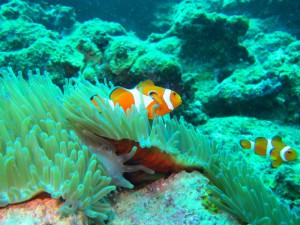 IMG_2604_R