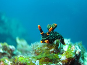IMG_2627_R