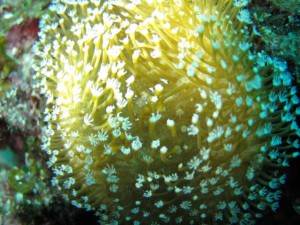 IMG_2630_R