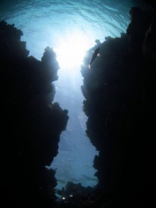 IMG_2646_R