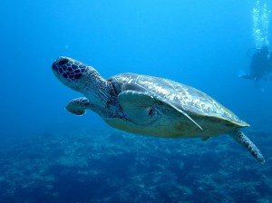 IMG_8514