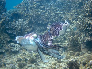 IMG_8697