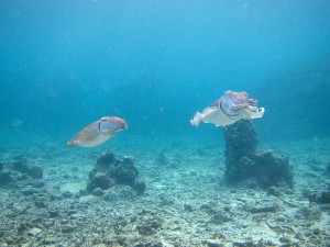 IMG_8702