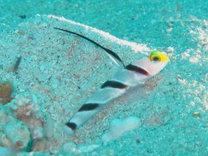 IMG_8741