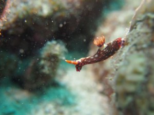 P1010123_R