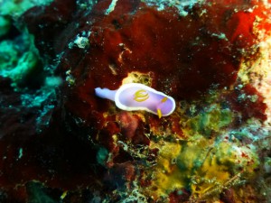 P1110493