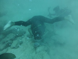 P1110634
