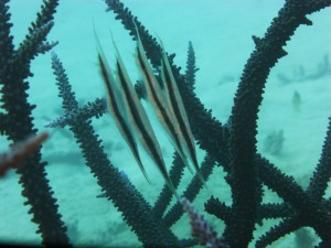 P1110638