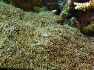 P1110656