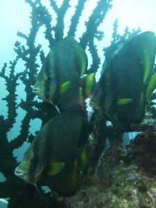 P1110701