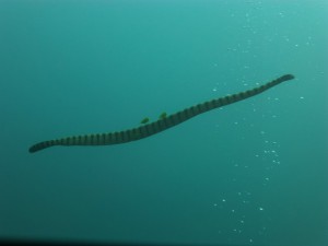 P1110706