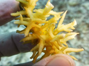 P1110729