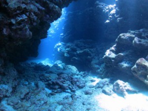 IMG_0616_R