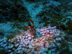 IMG_0633_R