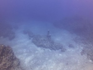 IMG_0646_R