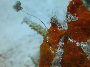 IMG_0664_R