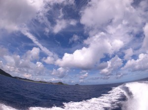 IMG_0686