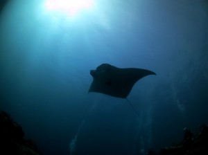 IMG_0724