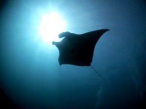 IMG_0725