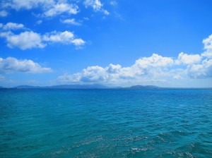 IMG_0729