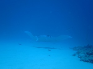 IMG_0732