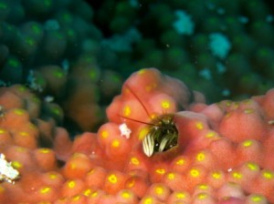 IMG_0736