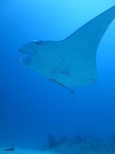 IMG_0737