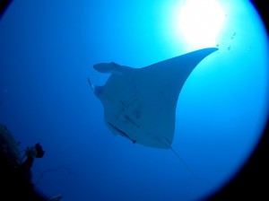 IMG_0741