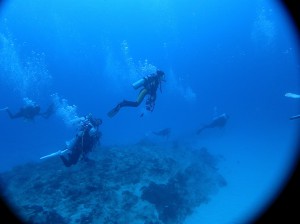 IMG_0743