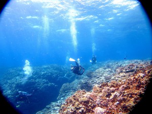 IMG_0770