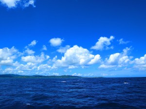 IMG_0782