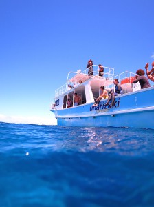 IMG_0808
