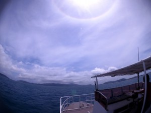 IMG_0837