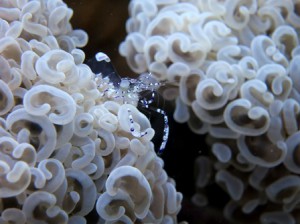 IMG_0860