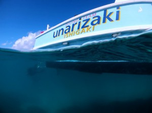 IMG_1010