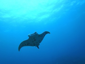 IMG_1114